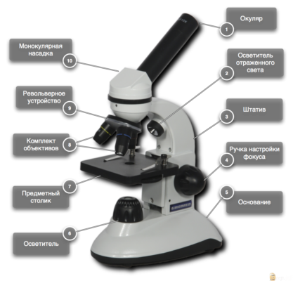 OPPO Find X3 Pro: Как работает микроскоп в смартфоне?