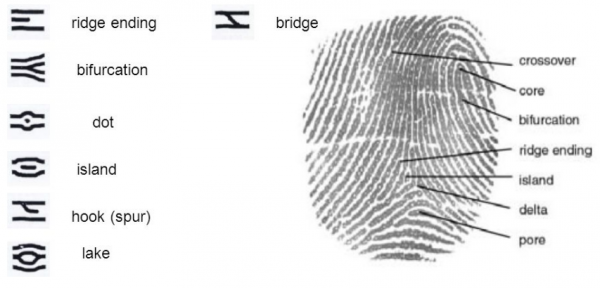 Биометрия: Face ID, Touch ID или сканер сетчатки? Разбор